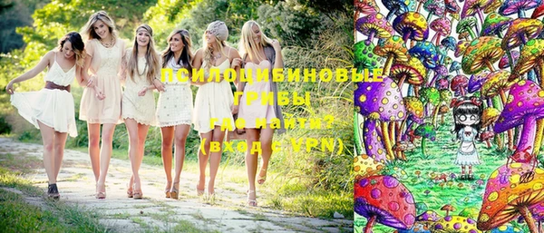 тгк Аркадак