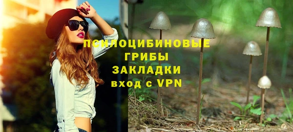 тгк Аркадак