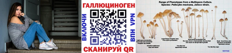 Псилоцибиновые грибы MAGIC MUSHROOMS  магазин  наркотиков  Нязепетровск 